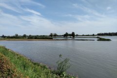 BPGorinchem-8