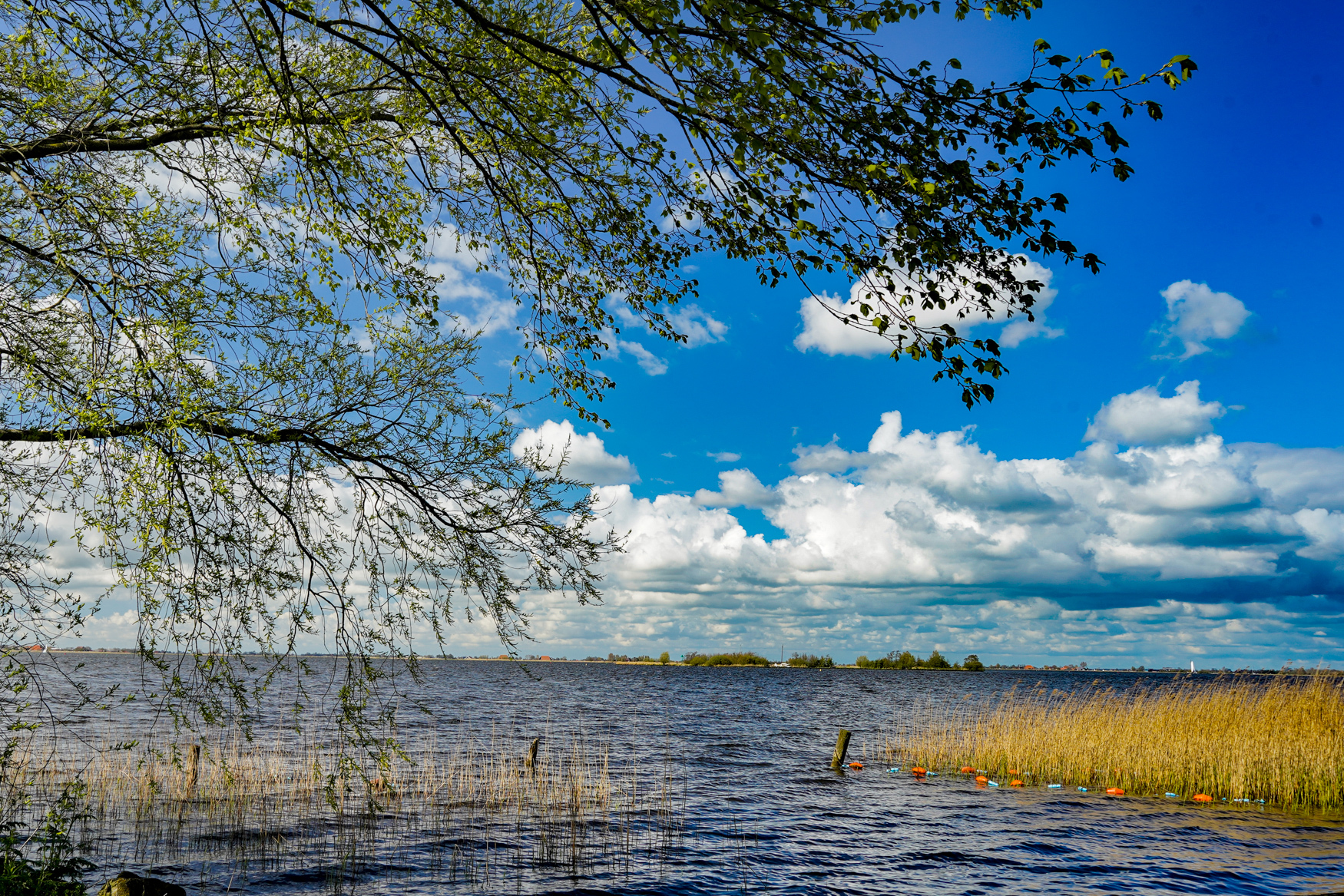 ER-Akkrum-Fryslan-2021