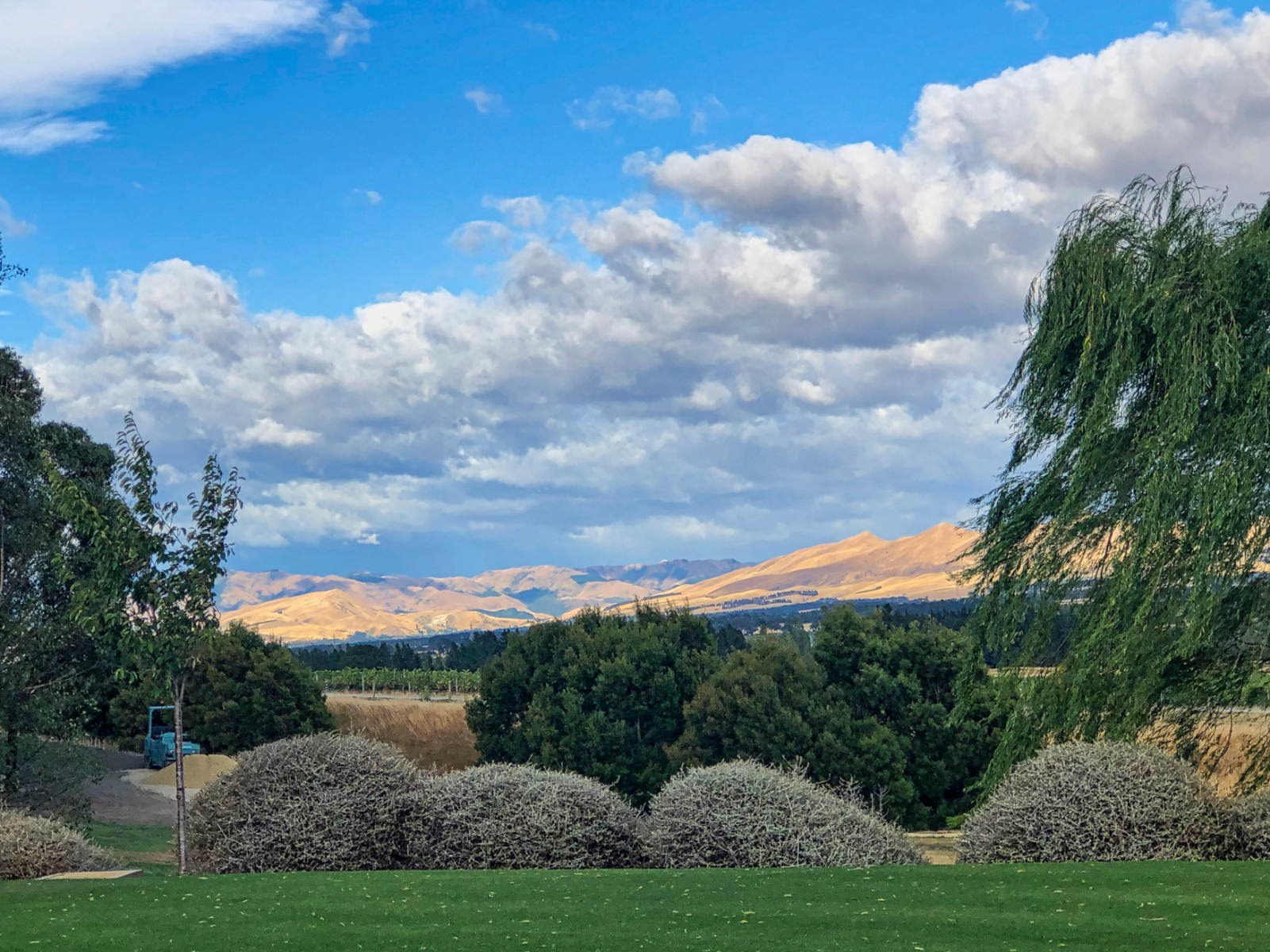 ER-Nieuw-Zeeland-2024