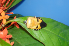 Henk-HSO-Website-22