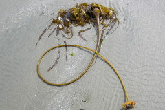 Henk-HSO-Website-28