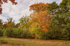 HR-herfst-4G