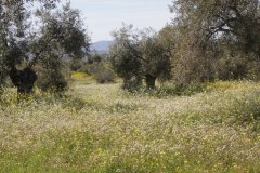 IMG_4037