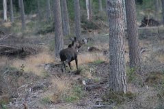 IMG_4838