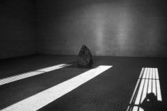 JVIMG_1196