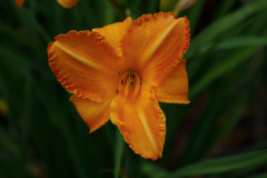HR02