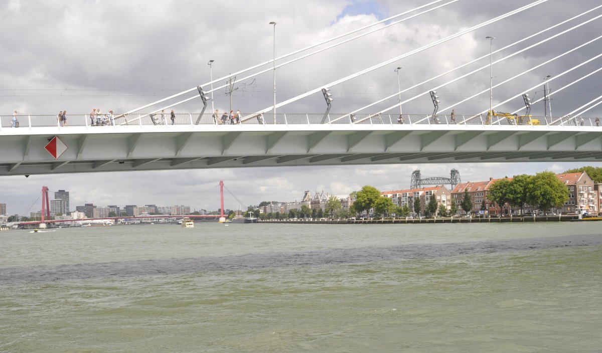 BoySpido01 BoySpido01