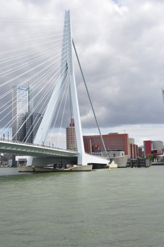 BoySpido02 BoySpido02